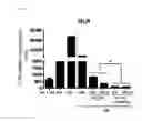 Fig. 06 - Composition for alleviating nephrotoxicity caused by immunosuppressive drug, comprising metformin, and composition for preventing or treating immune disease, comprising the same