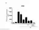 Fig. 07 - Composition for alleviating nephrotoxicity caused by immunosuppressive drug, comprising metformin, and composition for preventing or treating immune disease, comprising the same