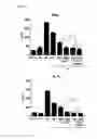Fig. 08 - Composition for alleviating nephrotoxicity caused by immunosuppressive drug, comprising metformin, and composition for preventing or treating immune disease, comprising the same