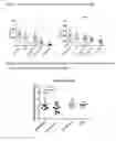 Fig. 04 - Method of treating liver fibrosis