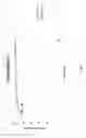 Fig. 09 - Porous particles