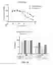 Fig. 35 - Use of sulfonamide inhibitors of Bcl-2 to treat senescence-associated lung conditions such as pulmonary fibrosis and chronic obstructive pulmonary disease