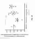 Fig. 41 - Use of sulfonamide inhibitors of Bcl-2 to treat senescence-associated lung conditions such as pulmonary fibrosis and chronic obstructive pulmonary disease