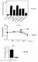 Fig. 04 - Treatment of solid tumours