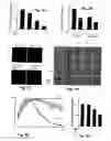 Fig. 09 - Treatment of solid tumours