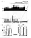 Fig. 05 - BK Channels as Non-Genomic Estrogen Targets for Overactive Bladder