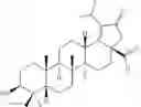 Fig. 723 - DERIVATIVES OF BETULIN