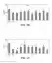 Fig. 04 - COMPOSITIONS AND METHOD OF USE OF A-TYPE PROCYANIDINS