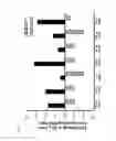 Fig. 03 - COMPOSITIONS AND METHODS FOR TREATING HEPATITIS C VIRUS