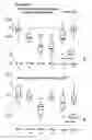 Fig. 02 - Drug based on maghemite for simultaneous reduction of gastrointestinal sodium resorption and phosphate resorption