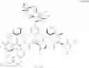 Fig. 04 - Glycopeptide compositions