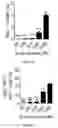 Fig. 22 - COMPOSITIONS AND METHODS FOR DECREASING BLOOD GLUCAGON LEVELS