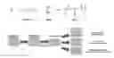 Fig. 01 - SYSTEM AND METHOD FOR DELIVERING GENETIC MATERIAL OR PROTEIN TO CELLS