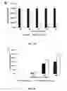 Fig. 08 - SYSTEM AND METHOD FOR DELIVERING GENETIC MATERIAL OR PROTEIN TO CELLS