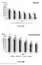 Fig. 33 - SYSTEM AND METHOD FOR DELIVERING GENETIC MATERIAL OR PROTEIN TO CELLS