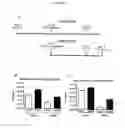 Fig. 08 - Vaccination methods