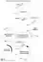 Fig. 04 - MODIFICATION OF RECOMBINANT ADENOVIRUS WITH IMMUNOGENIC PLASMODIUM CIRCUMSPOROZOITE PROTEIN EPITOPES