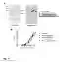 Fig. 84 - MODIFICATION OF RECOMBINANT ADENOVIRUS WITH IMMUNOGENIC PLASMODIUM CIRCUMSPOROZOITE PROTEIN EPITOPES