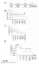 Fig. 90 - MODIFICATION OF RECOMBINANT ADENOVIRUS WITH IMMUNOGENIC PLASMODIUM CIRCUMSPOROZOITE PROTEIN EPITOPES