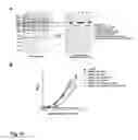 Fig. 92 - MODIFICATION OF RECOMBINANT ADENOVIRUS WITH IMMUNOGENIC PLASMODIUM CIRCUMSPOROZOITE PROTEIN EPITOPES