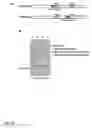 Fig. 98 - MODIFICATION OF RECOMBINANT ADENOVIRUS WITH IMMUNOGENIC PLASMODIUM CIRCUMSPOROZOITE PROTEIN EPITOPES