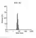 Fig. 07 - COMPOSITIONS AND METHODS FOR DETECTING CCR2 RECEPTORS