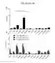 Fig. 08 - COMPOSITIONS AND METHODS FOR DETECTING CCR2 RECEPTORS