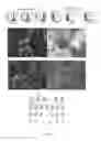 Fig. 03 - Human cell-based medicinal products and methods for osteoreparation