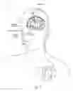 Fig. 02 - Non-regular electrical stimulation patterns for treating neurological disorders