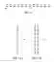 Fig. 07 - PRIMING-ASSISTED NEUROMODULATION THERAPY