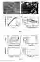 Fig. 02 - Electrode and process for preparing the electrode and devices thereof