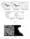 Fig. 07 - Electrode and process for preparing the electrode and devices thereof