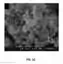 Fig. 08 - Nanocomposite blend membrane