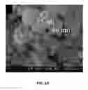 Fig. 09 - Nanocomposite blend membrane