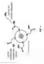 Fig. 02 - Lanthanide-chelator combinatorial barcoding