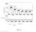 Fig. 05 - Inorganic nanofiber and method for manufacturing the same