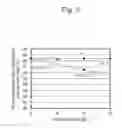 Fig. 06 - Exhaust gas purifying catalyst