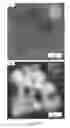 Fig. 62 - Vacuum compatible fluid sampler