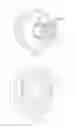 Fig. 02 - Localized can end repair spray