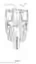 Fig. 06 - Drilling chuck