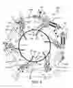 Fig. 04 - BEAD SETTING ASSEMBLY