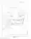 Fig. 16 - Automatic facial makeup method