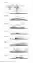 Fig. 06 - Digital printing with transparent blank ink