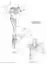 Fig. 06 - Backrest adjuster for a vehicle seat