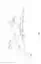 Fig. 02 - Integral rat generator cooling holes