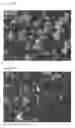 Fig. 09 - STABLE SOLID FORMS OF ENCLOMIPHENE AND ENCLOMIPHENE CITRATE
