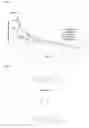 Fig. 09 - Inhibitors of lysine gingipain