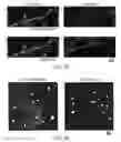 Fig. 09 - COMPOSITIONS AND METHODS FOR TREATING NEURODEGENERATIVE DISEASE