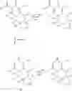 Fig. 173 - Substituted polycyclic carbamoyl pyridone derivative prodrug