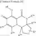 Fig. 28 - Substituted polycyclic carbamoyl pyridone derivative prodrug